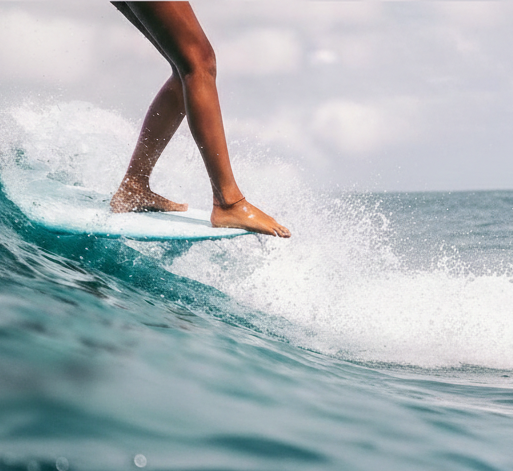 What distinguishes Fundit